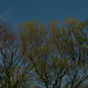 Image for article titled Shooting Challenge: Golden Hour Gallery 2